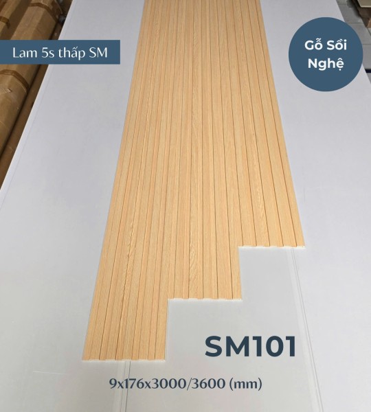 sm101
