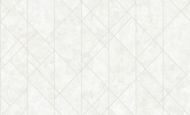 mã số 58101-1.
